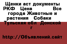 Щенки аст документы РКФ › Цена ­ 15 000 - Все города Животные и растения » Собаки   . Тульская обл.,Донской г.